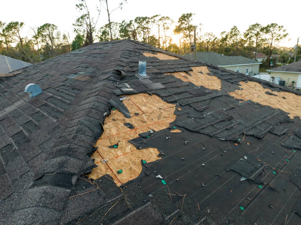 Best Solar Panel Roofing Installation  in Oakley, KS
